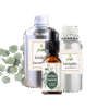 Eucalyptus essential oil min