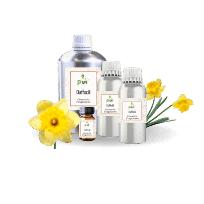 14 Daffodil Cosmetic fragrances min