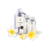 15 Frangipani Cosmetic fragrances min