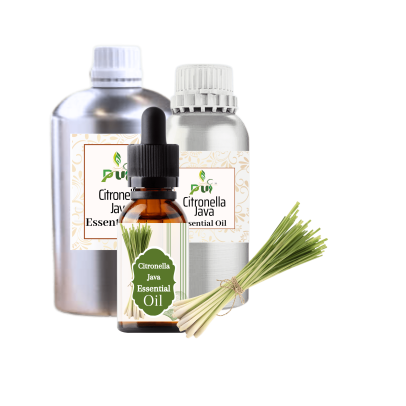 16 Citronella Java min