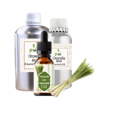 16 Citronella Java min