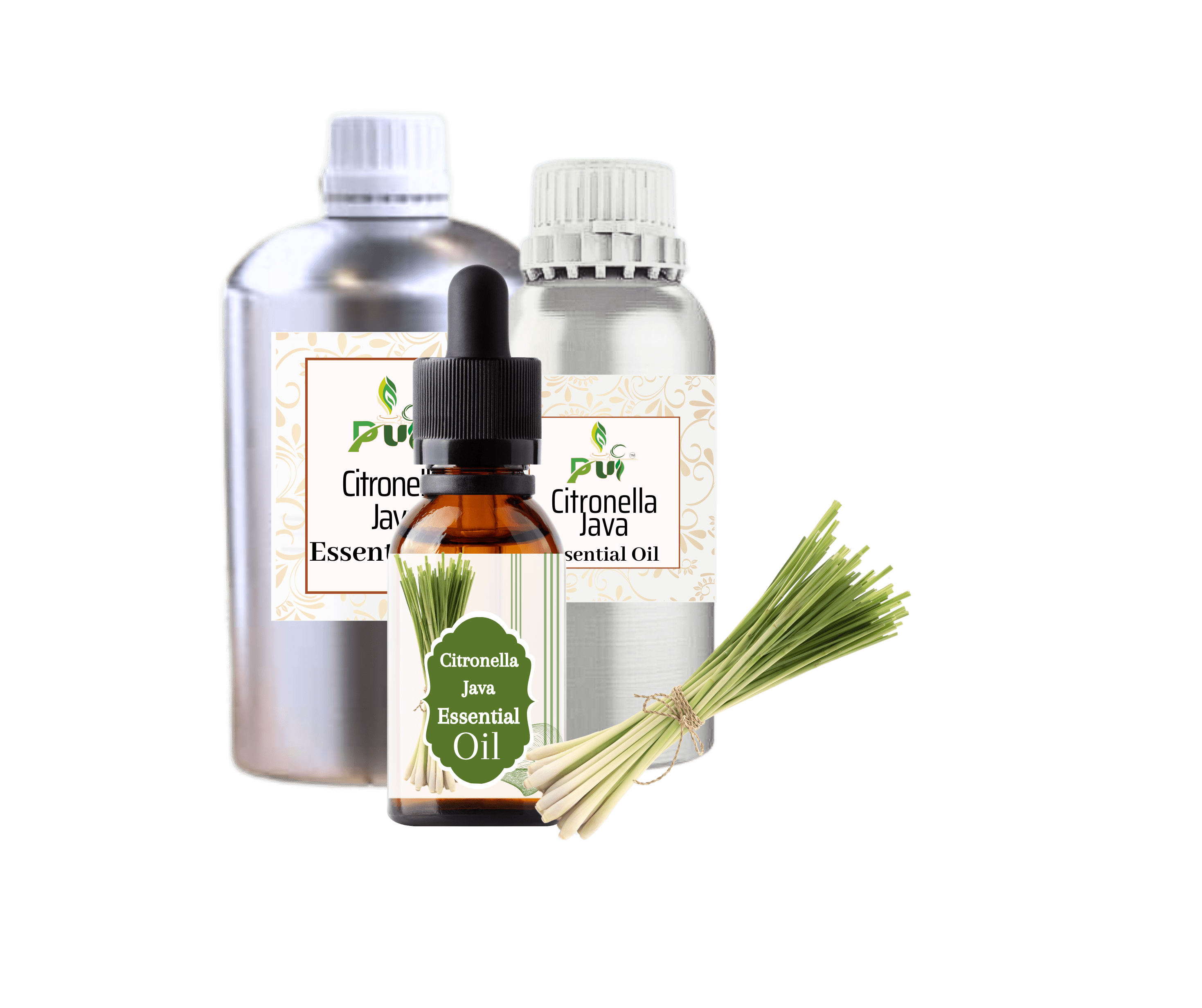 16 Citronella Java min