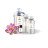 24 Lotus Cosmetic fragrances min