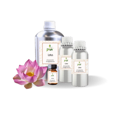 24 Lotus Cosmetic fragrances min