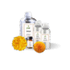 25 Marigold Cosmetic fragrances min