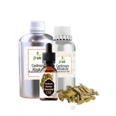 8 Cardmom Absolute min