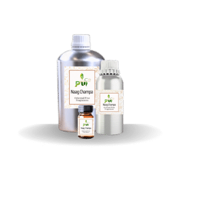Naag Champa Oriental fine fragrances min