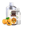 Apricot Oil 1