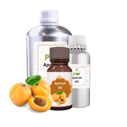 Apricot Oil