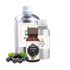 Black Currant Oil
