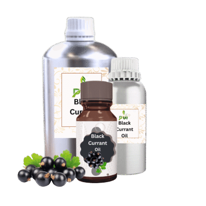 Black Currant Oil