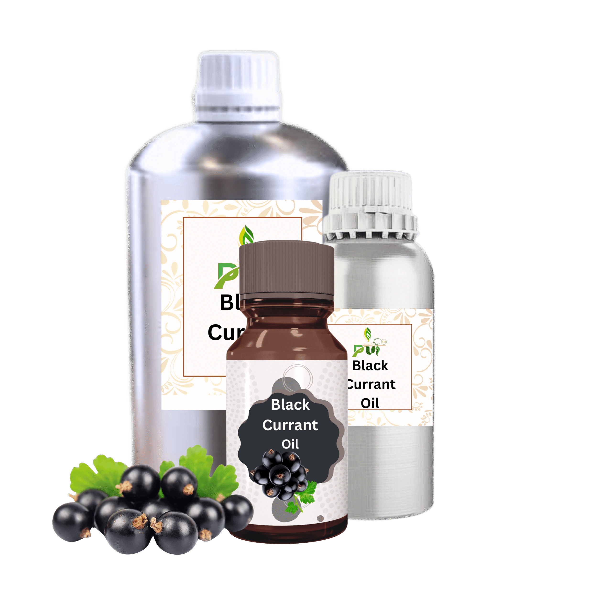 Black Currant Oil