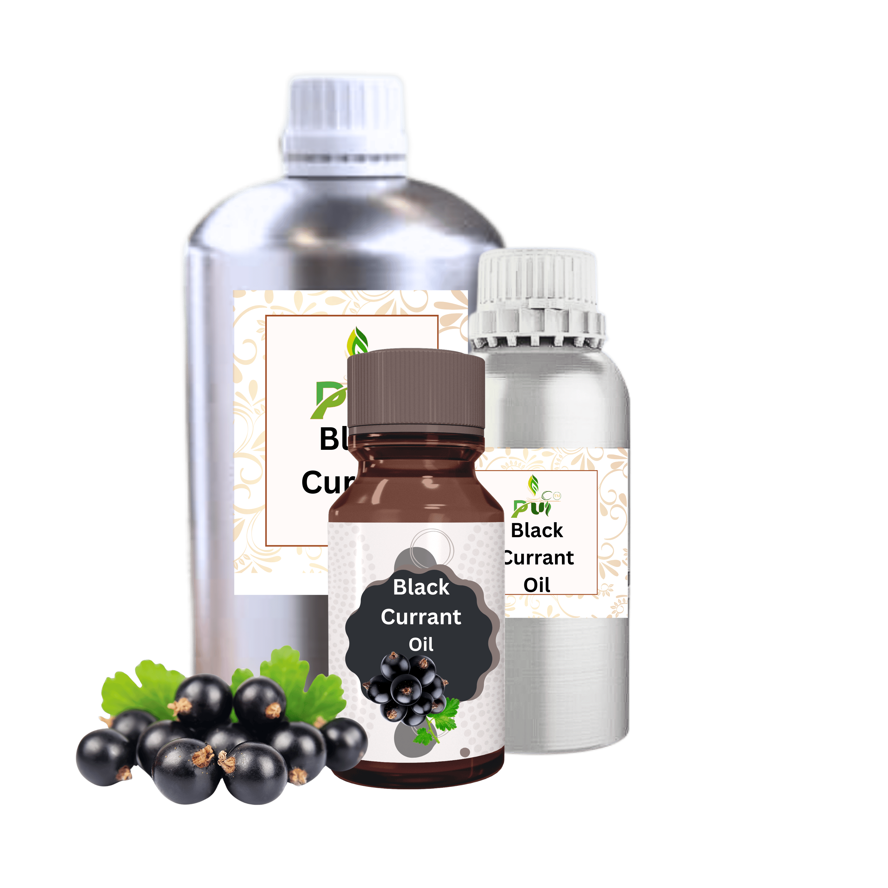 Black Currant Oil