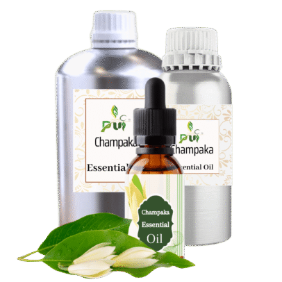 Champaka min