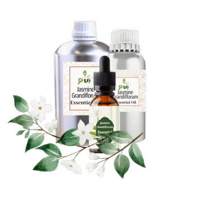 Jasmine Grandiflorum min