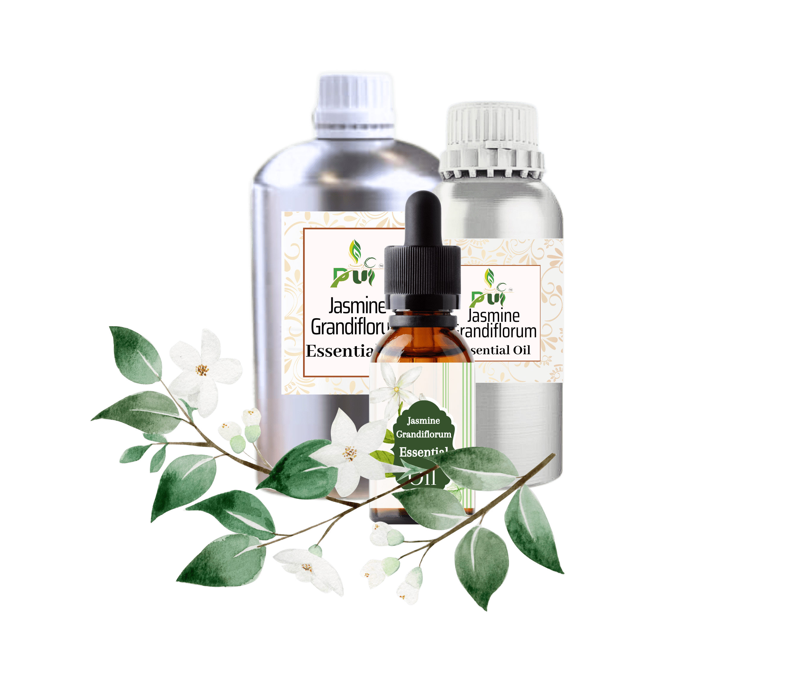 Jasmine Grandiflorum min