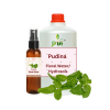 Pudina Water min