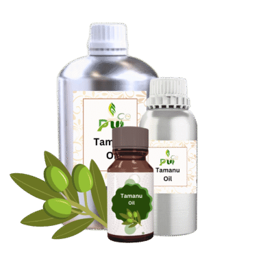 Tamanu Oil