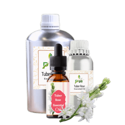 Tuber Rose min