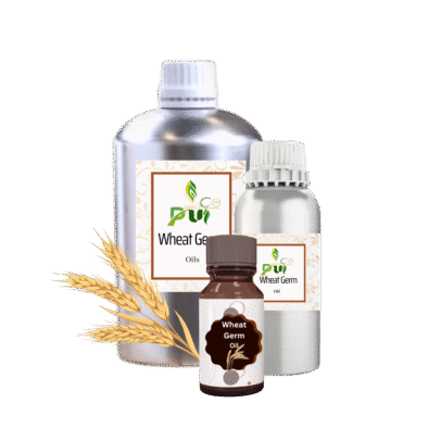 Wheat Germ Oil