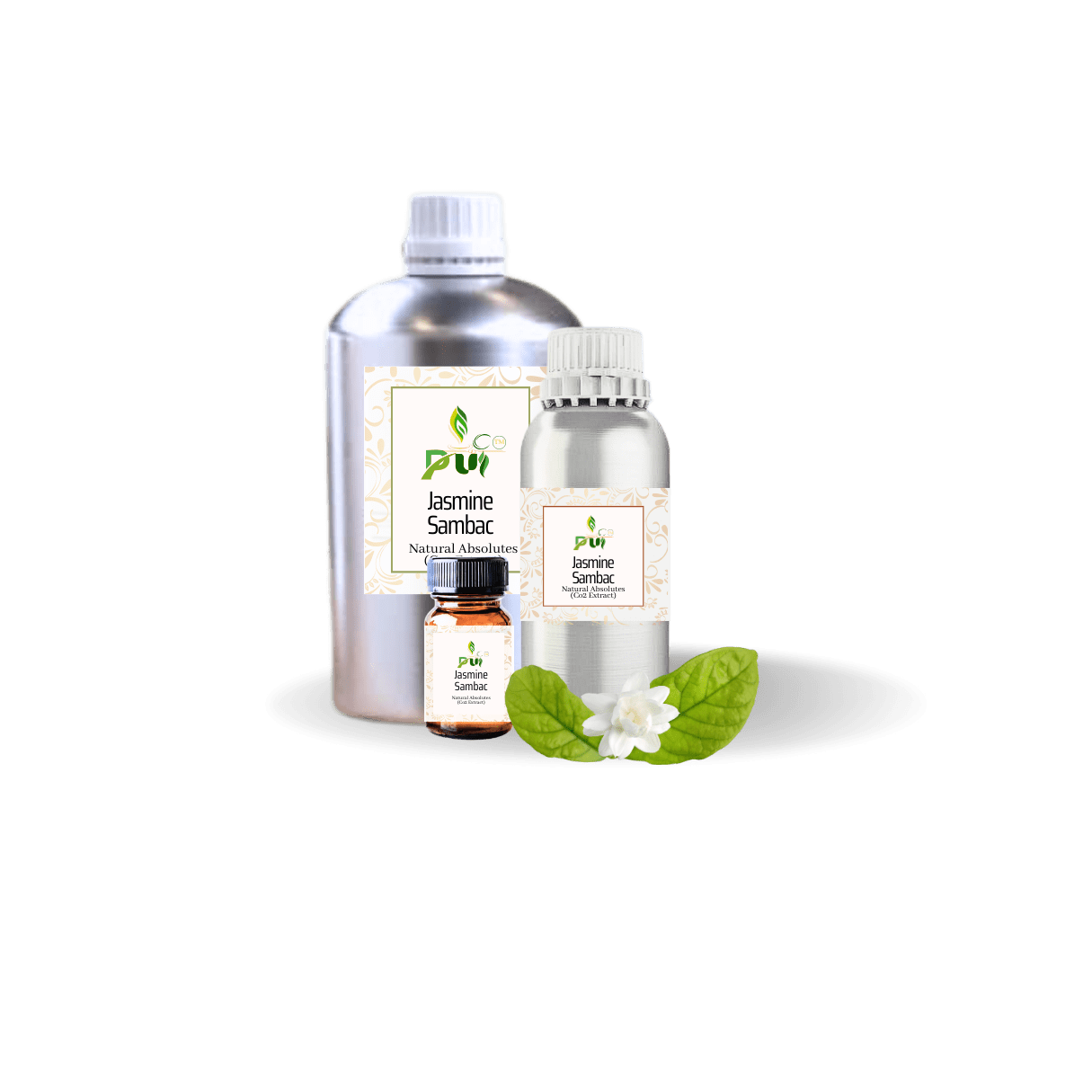 Jasmine Sambac Absolute min
