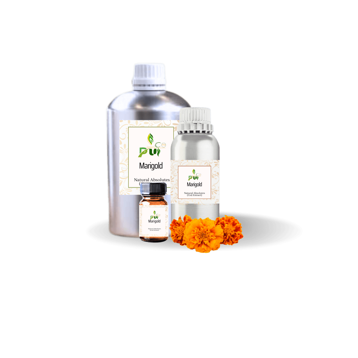 Marigold Absolute min