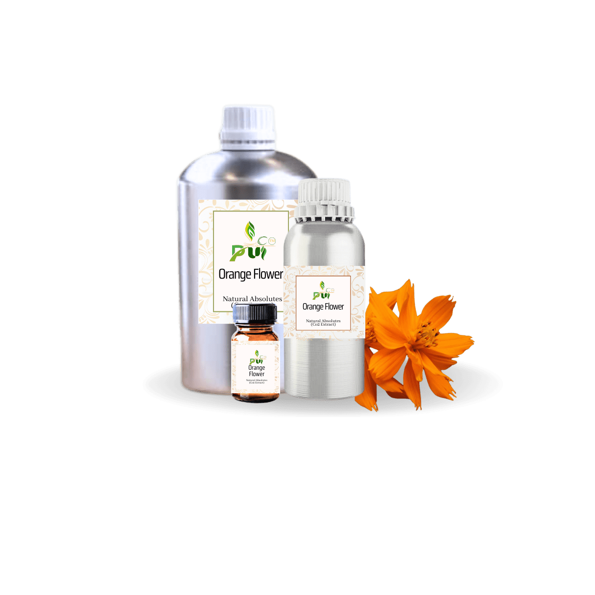 Orange Flower Absoltue min