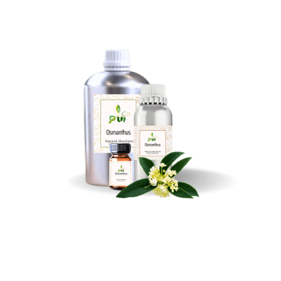 Osmanthus Absolute min