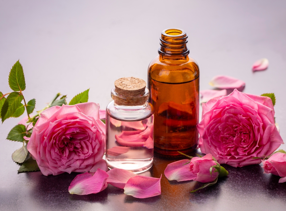 Rose Essential Oils & Absolutes – Types and Sources