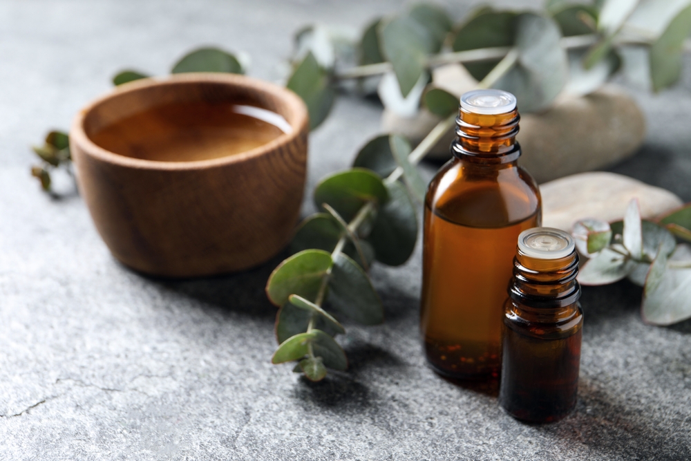 Eucalyptus oil: 10 benefits and uses for Health and Home