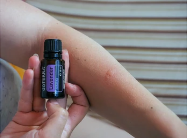 DIY Magic: Create Your Own Natural Mosquito Repellent with Essential Oils