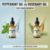 Peppermint Oil vs Rosemary Oil for Hair Growth